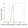 KD-Validated STXBP1 Rabbit mAb (20 μl)