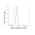 KD-Validated TEAD1 Rabbit mAb (20 μl)