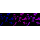 KD-Validated TEAD1 Rabbit mAb (20 μl)