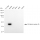 KD-Validated WNT5A Rabbit mAb (20 μl)