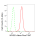 KD-Validated NFKB1 Rabbit mAb (20 μl)