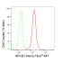 KD-Validated NFKB1 Rabbit mAb (20 μl)