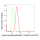 KD-Validated KAT7 Rabbit mAb (20 μl)