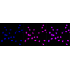 KD-Validated KAT7 Rabbit mAb (20 μl)