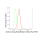 KD-Validated ACAA2 Rabbit mAb (20 μl)