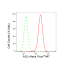 KD-Validated AGL Rabbit mAb (20 μl)
