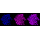 KD-Validated AGL Rabbit mAb (20 μl)