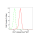 KD-Validated CLP1 Rabbit mAb (20 μl)