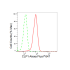 KD-Validated CLP1 Rabbit mAb (20 μl)