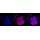 KD-Validated CLP1 Rabbit mAb (20 μl)