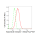 KD-Validated ADIPOR1 Rabbit mAb (20 μl)