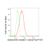 KD-Validated ADIPOR1 Rabbit mAb (20 μl)