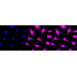 KD-Validated AKR1C1/2 Rabbit mAb (20 μl)