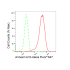 KD-Validated ANXA10 Rabbit mAb (20 μl)