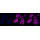 KD-Validated ANXA10 Rabbit mAb (20 μl)