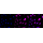 KD-Validated AP2M1 Rabbit mAb (20 μl)
