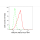 KD-Validated ARID1A Rabbit mAb (20 μl)
