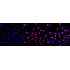 KD-Validated ARID1A Rabbit mAb (20 μl)