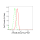 KD-Validated ATG4B Rabbit mAb (20 μl)