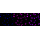 KD-Validated ATG4B Rabbit mAb (20 μl)