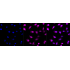 KD-Validated ATG4B Rabbit mAb (20 μl)