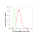 KD-Validated ATP5B Rabbit mAb (20 μl)