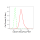 KD-Validated CDC37 Rabbit mAb (20 μl)