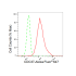 KD-Validated CDC37 Rabbit mAb (20 μl)