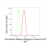 KD-Validated CSPG4 Rabbit mAb (20 μl)