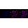 KD-Validated CSPG4 Rabbit mAb (20 μl)