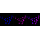 KD-Validated CCNE2 Rabbit mAb (20 μl)
