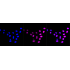 KD-Validated CCNE2 Rabbit mAb (20 μl)