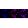 KD-Validated DEK Rabbit mAb (20 μl)