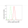 KD-Validated AP1G1 Rabbit mAb (20 μl)
