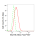 KD-Validated BAZ1B Rabbit mAb (20 μl)
