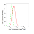 KD-Validated BAZ1B Rabbit mAb (20 μl)