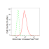 KD-Validated BCL2L12 Rabbit mAb (20 μl)