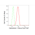 KD-Validated CLSTN1 Rabbit mAb (20 μl)
