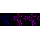 KD-Validated COPS3 Rabbit mAb (20 μl)