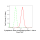 KD-Validated CLASP1 Rabbit mAb (20 μl)