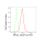 KD-Validated EIF4A1 Rabbit mAb (20 μl)