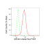 KD-Validated EIF4A1 Rabbit mAb (20 μl)