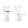 KD-Validated EIF4A1 Rabbit mAb (20 μl)