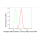 KD-Validated Phospho-ARRB1 (S412) Rabbit mAb (20 μl)