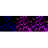 KD-Validated Phospho-ARRB1 (S412) Rabbit mAb (20 μl)