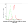 KD-Validated Phospho-eIF4EBP1/2/3 (T46+T46+T32) Rabbit mAb (20 μl)