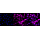 KD-Validated Phospho-eIF4EBP1/2/3 (T46+T46+T32) Rabbit mAb (20 μl)