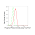 KD-Validated Phospho-PRAS40 (T246) Rabbit mAb (20 μl)
