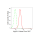 KD-Validated Atg16L1 Rabbit mAb (20 μl)