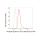 KD-Validated Phospho-EGFR (Y1173) Rabbit mAb (20 μl)